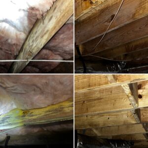 A collage of four images showing wooden beams with and without insulation, some with discoloration, mold, and water damage.