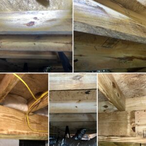 Collage of five images showing wooden beams and structural elements in a crawl space, with visible insulation and an electrical wire.