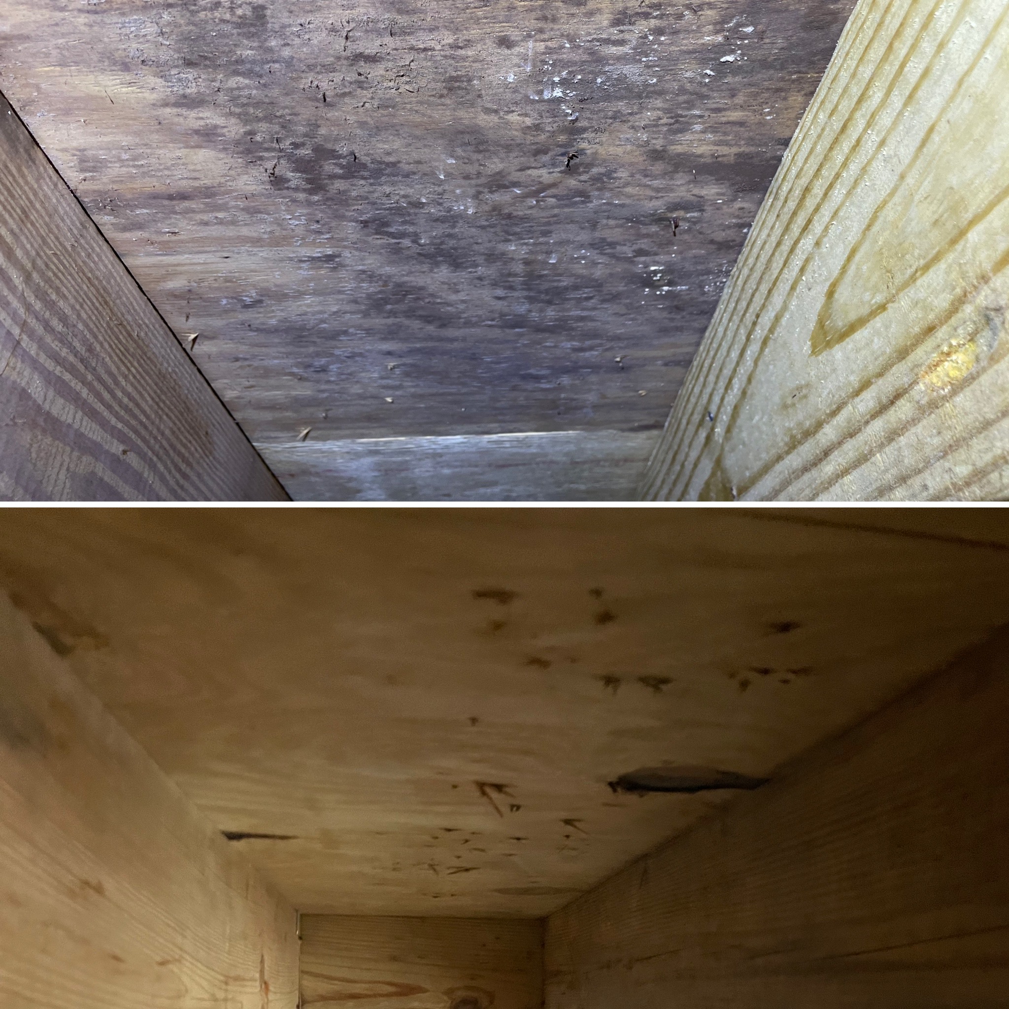 Two images of wooden interiors, possibly showing the inside of a box or a similar structure, with visible grain and knots.