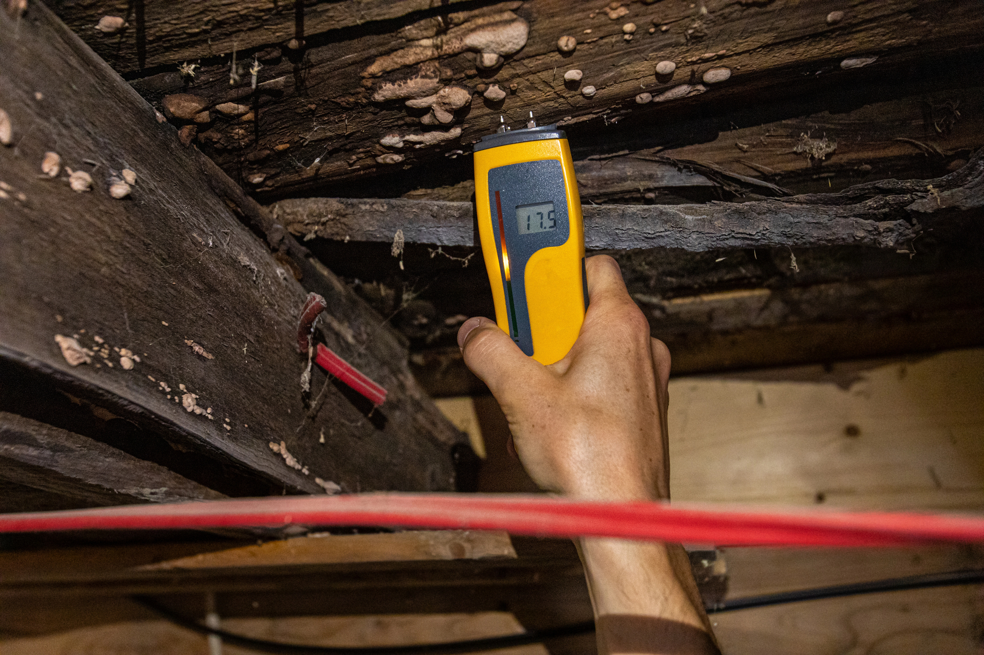 A hand holds a moisture meter against a wooden beam in an attic. The meter reads 17.2%. The wood shows signs of decay and fungal growth.